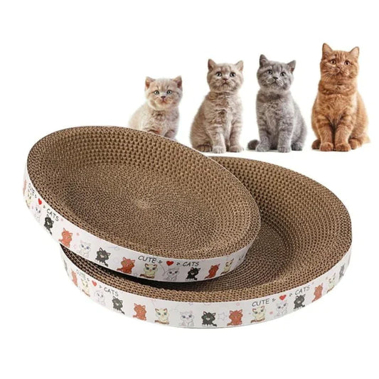 CatBed / Lit pour chat soulage stress et soigne griffe