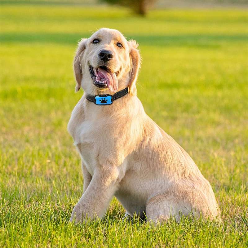 PuppyLove | Painless Anti-Bark Collar