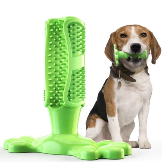DogCare® | Brosse à dent pour chien