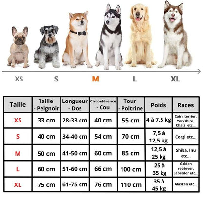 PetLove® | Peignoir ultra absorbant pour animaux de compagnie