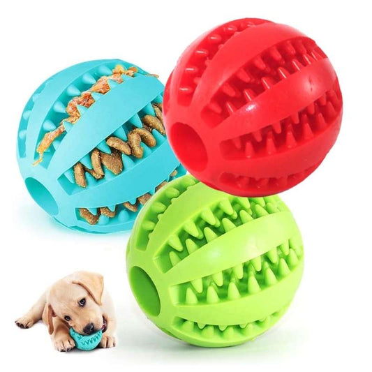 Dents chiens