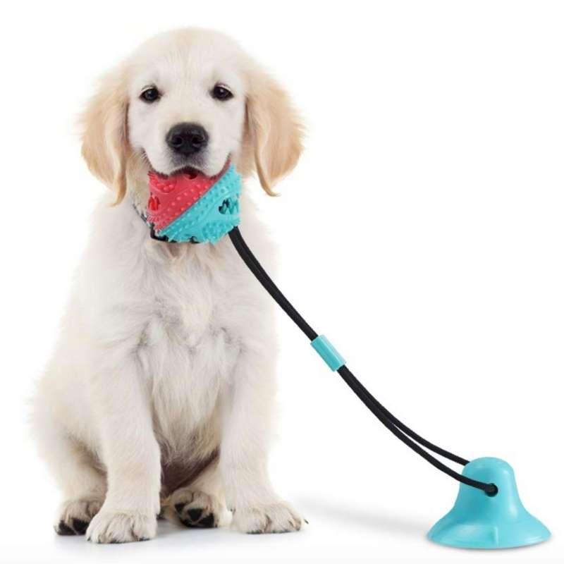 CleanDog® | Jouet à ventouse pour chien