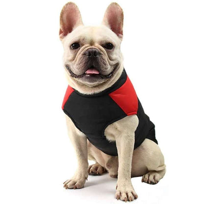 WinterCoat® | Manteau imperméable pour chien